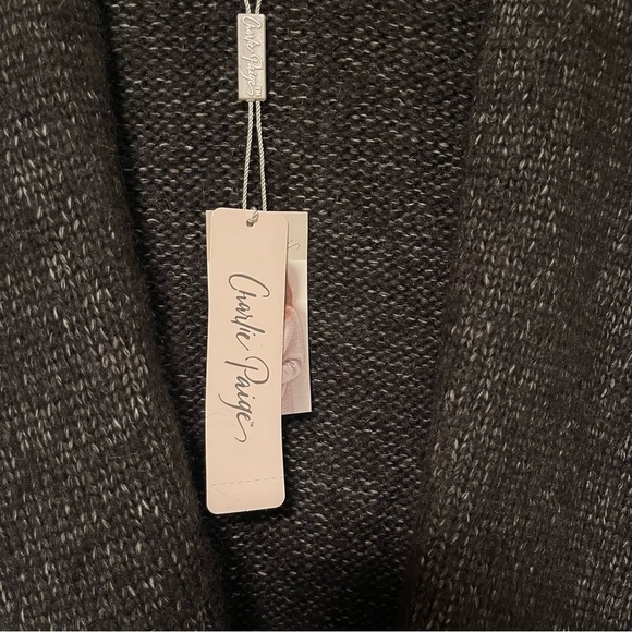 NWT Charlie Paige Cardigan Dark Gray Chunky Fall Size SM - Picture 4 of 7